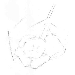 蓮霧的素描畫法步驟02,畫線稿