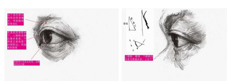 眼睛素描的畫(huà)法