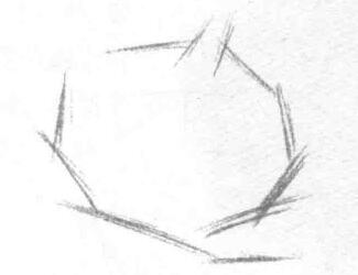 大蒜的素描畫法步驟01