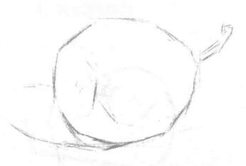 梨子的素描畫法步驟02