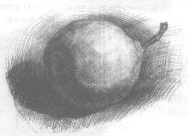 梨子素描畫法