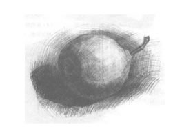 梨子素描