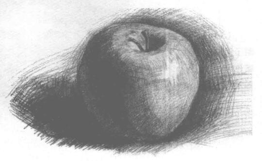 蘋果素描（二）
