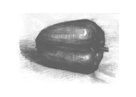 青椒素描畫法（一）