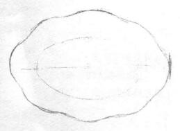 盤子的素描畫(huà)法步驟02