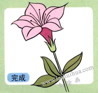 杜鵑花兒童畫