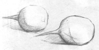 蘿卜素描畫法步驟02