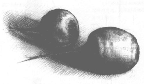 蘿卜素描畫法