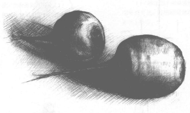 蘿卜素描畫法