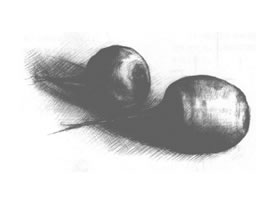 蘿卜素描畫法