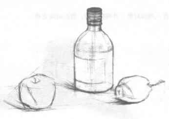 瓶子和水果組合素描畫法步驟02