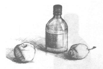 瓶子和水果組合素描畫法步驟03