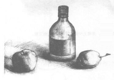 瓶子和水果組合素描畫法步驟04
