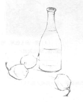 瓶子和梨子組合素描畫法步驟02