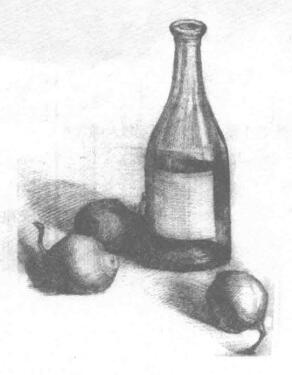 瓶子和梨子組合素描畫法步驟04