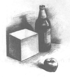 三個靜物組合素描畫法步驟04