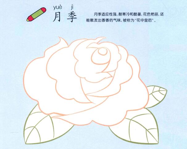 月季花兒童畫