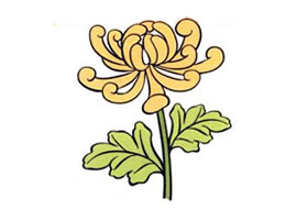 菊花兒童畫