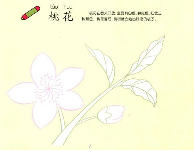 桃花兒童畫(huà)