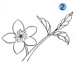 桃花兒童畫(huà)畫(huà)法步驟02