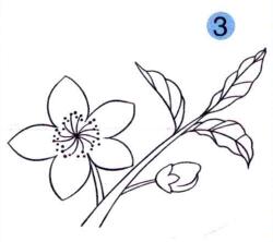 桃花兒童畫(huà)畫(huà)法步驟03