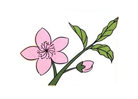 桃花兒童畫