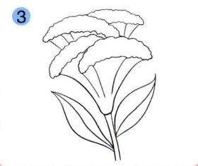 雞冠花兒童畫畫法步驟02