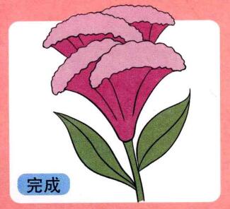 雞冠花兒童畫