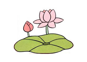 荷花兒童畫