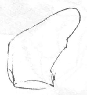 貓的素描畫法步驟01