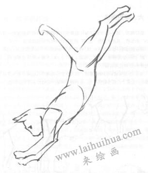 素描貓
