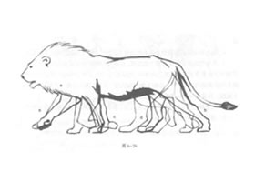 如何素描行走獅子？