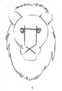 獅子頭部素描繪制步驟04