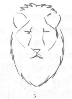 獅子頭部素描繪制步驟05