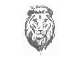 獅子頭部素描