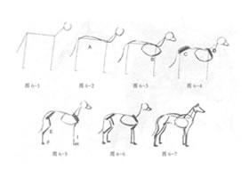 動(dòng)物素描的繪制步驟