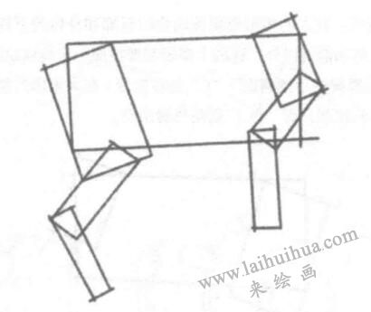 動物體形素描01