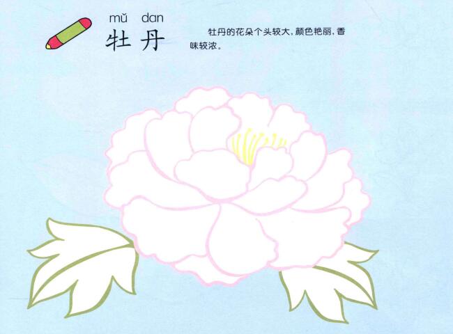 牡丹花兒童畫(huà)