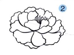 牡丹花兒童畫(huà)畫(huà)法步驟02
