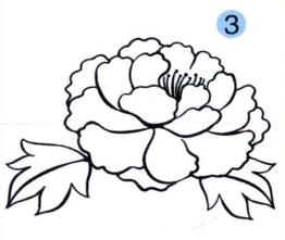 牡丹花兒童畫(huà)畫(huà)法步驟03