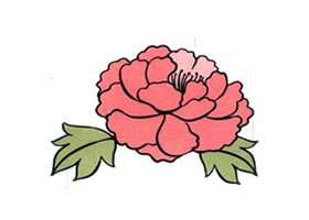 牡丹花兒童畫