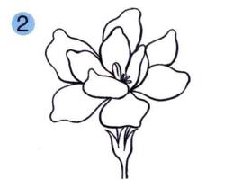 梔子花兒童畫畫法步驟02