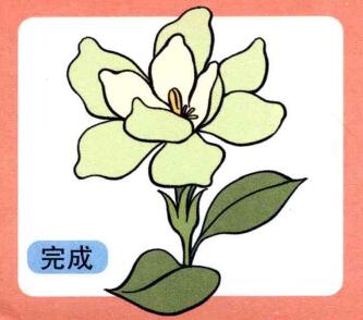 梔子花兒童畫