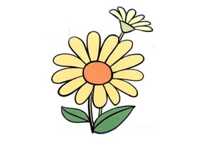 雛菊兒童畫
