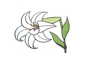 百合花兒童畫
