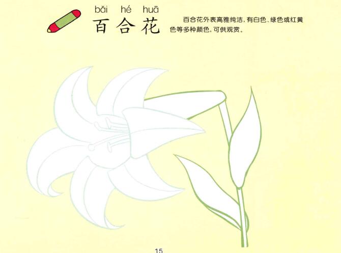 百合花兒童畫(huà)