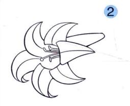 百合花兒童畫(huà)畫(huà)法步驟02