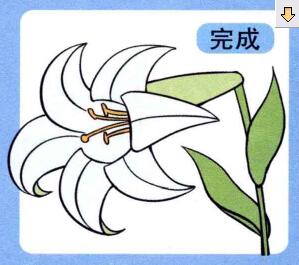 百合花兒童畫(huà)