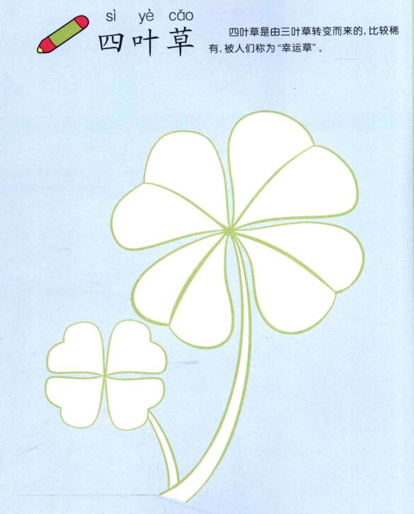 四葉草兒童畫
