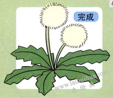 蒲公英兒童畫